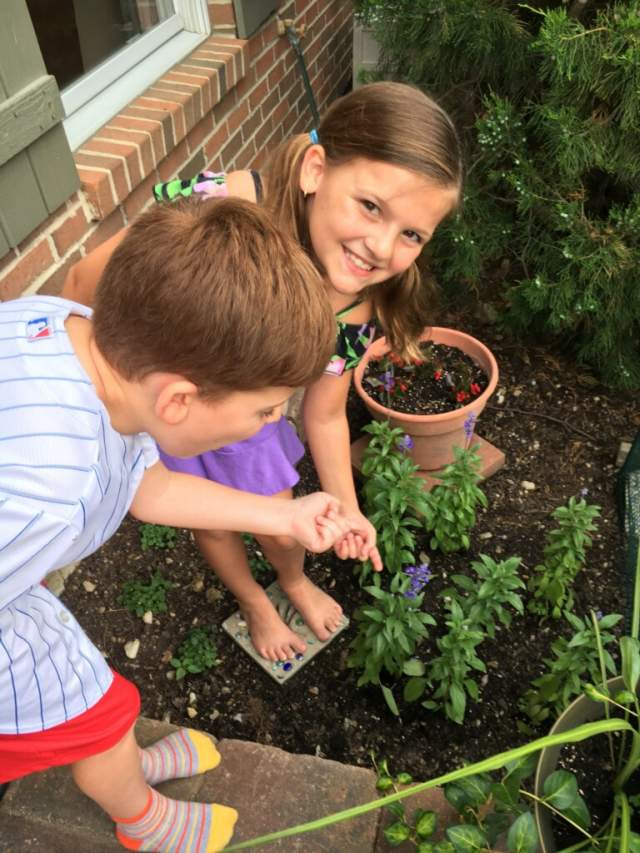 kids planting salvia